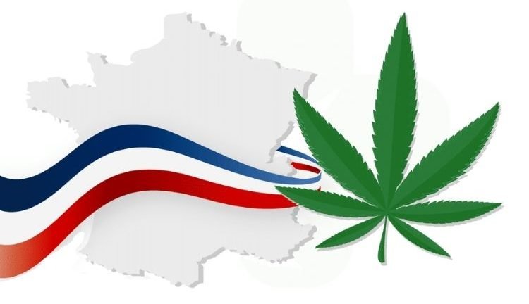 vente-de-cannabis-en-france